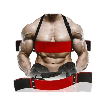 Arm Blaster for Biceps & Triceps