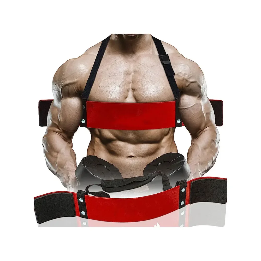 Arm Blaster for Biceps & Triceps 2 Arm Blaster for Biceps & Triceps
